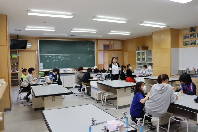 https://samani.schoolweb.ne.jp/0110011/blog_img/117133366?tm=20241129140237