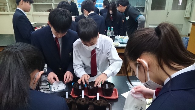 みんなで種を植えよう！